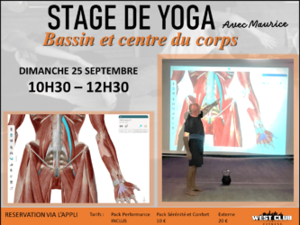 Stage de Yoga  Bassin et cnetre du corps   Dimanche 25 septembre